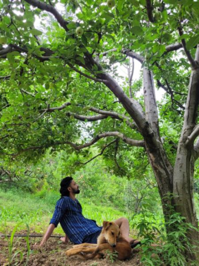 Backpacker's Nest Mateura
